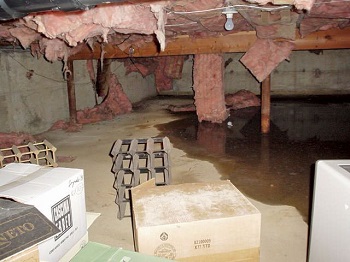 Decaying fiberglass insulation
