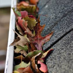 Clogged gutters filled with fall leaves  in Cochranton